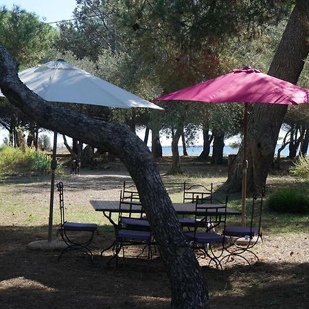 Joli Mas Au Bord De L'Etang De Thau Villa Marseillan  Exterior photo