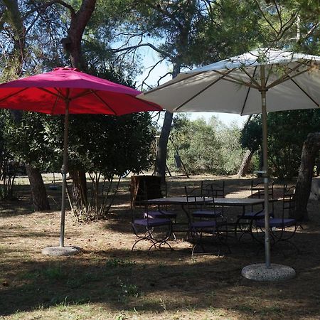 Joli Mas Au Bord De L'Etang De Thau Villa Marseillan  Exterior photo