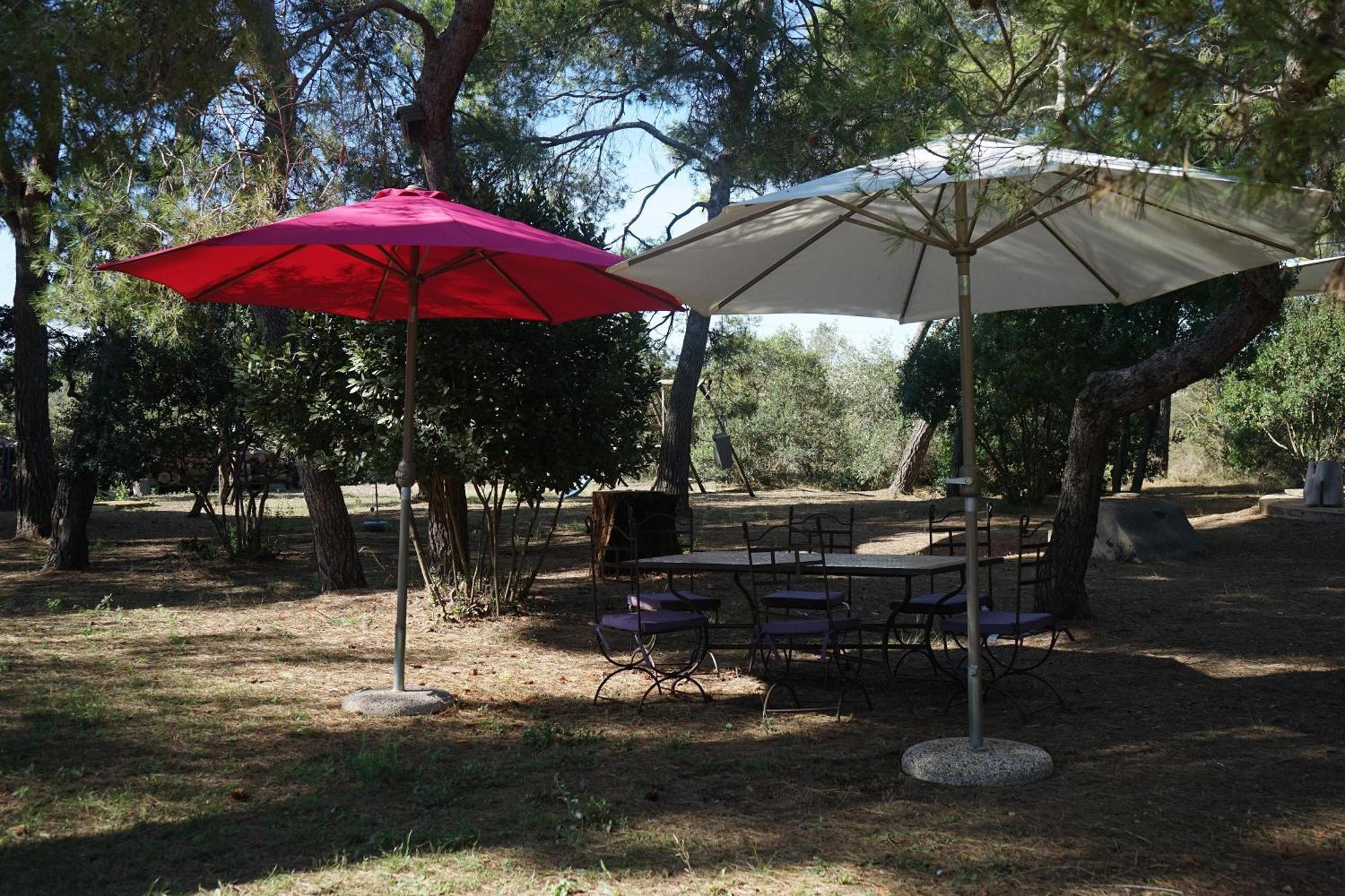 Joli Mas Au Bord De L'Etang De Thau Villa Marseillan  Exterior photo